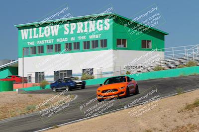 media/May-07-2022-Cobra Owners Club of America (Sat) [[e681d2ddb7]]/Yellow/Session 1 (Turn 4)/